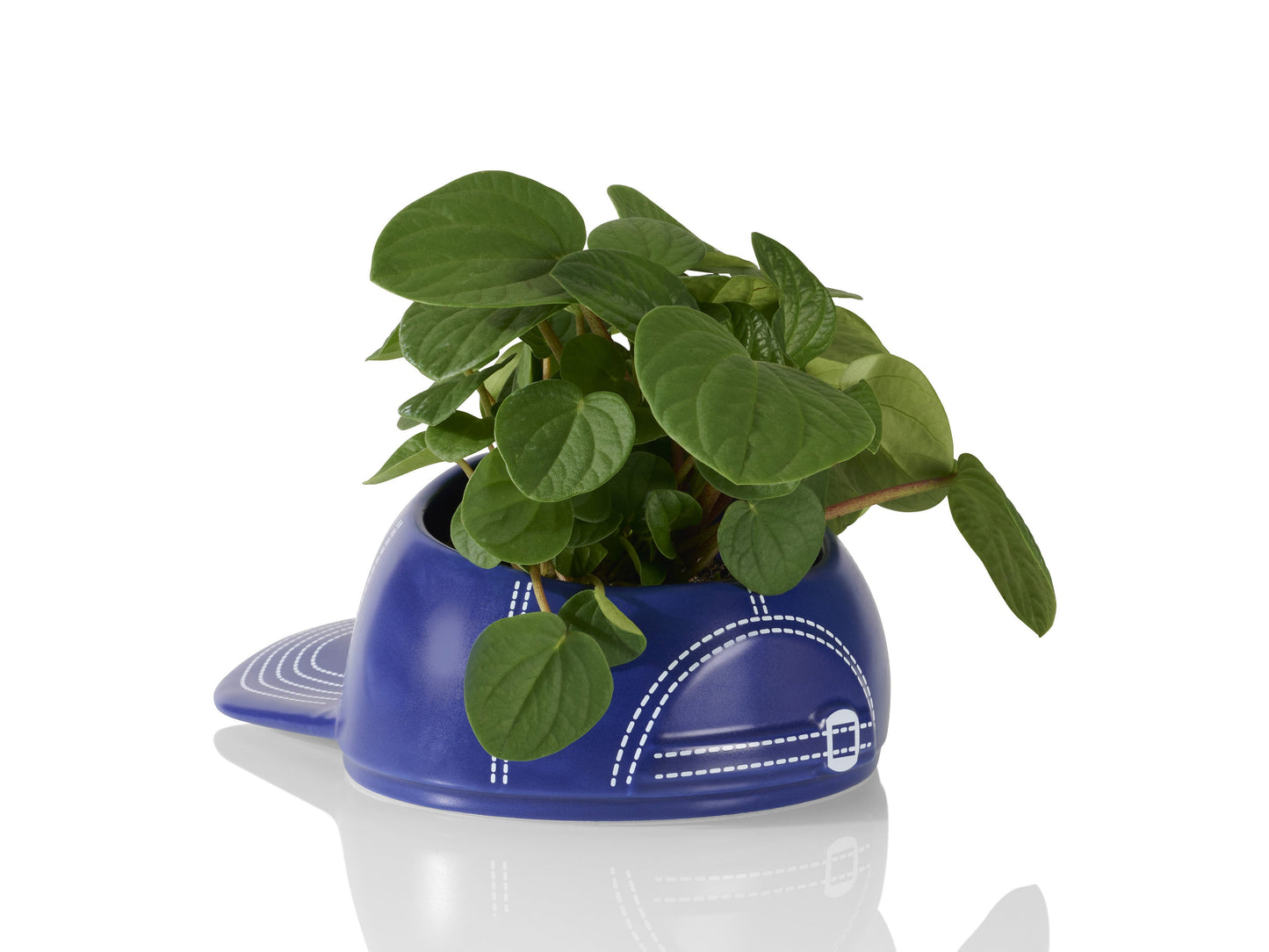 BaseBowl Cap