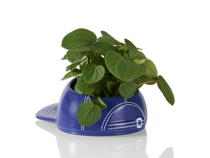 BaseBowl Cap