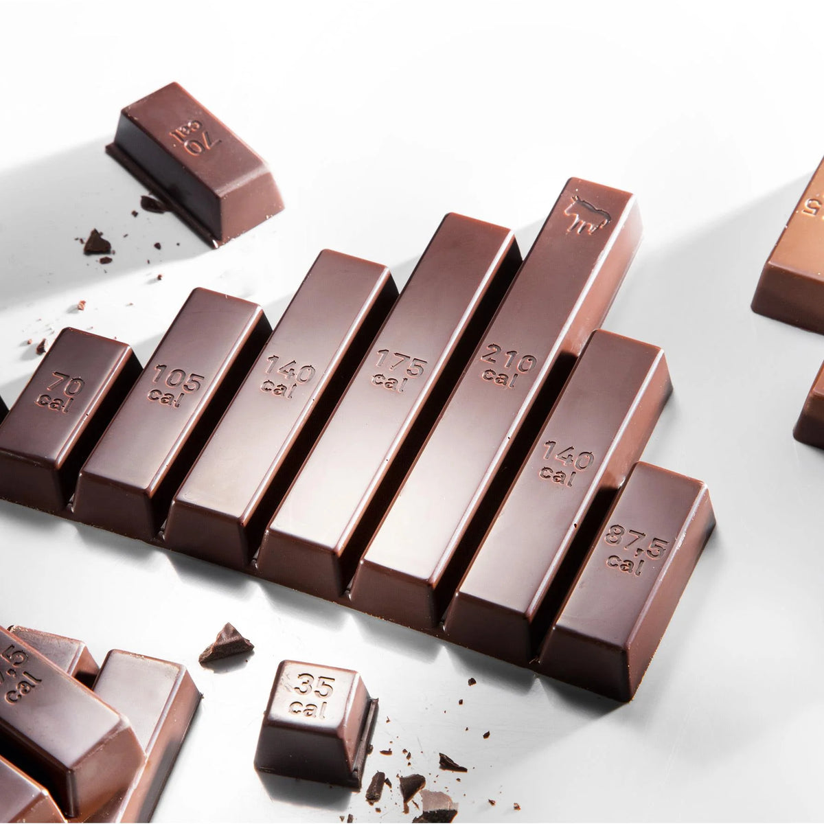 Chocolate Mold