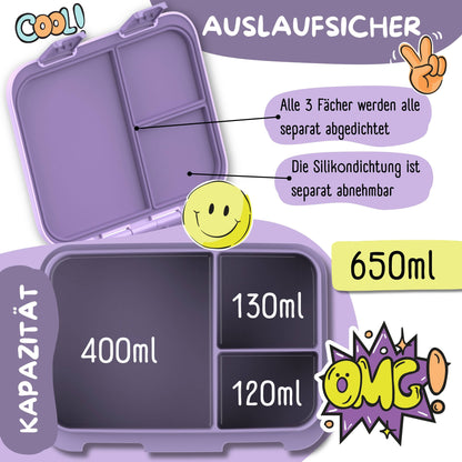 Bento Box with Compartments, Leakproof - Dog & Cat Purple