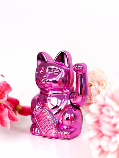 Lucky Bright Pink Cat “Sorya”