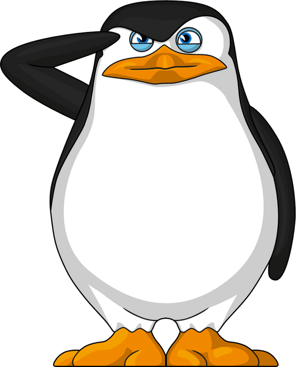 Skipper