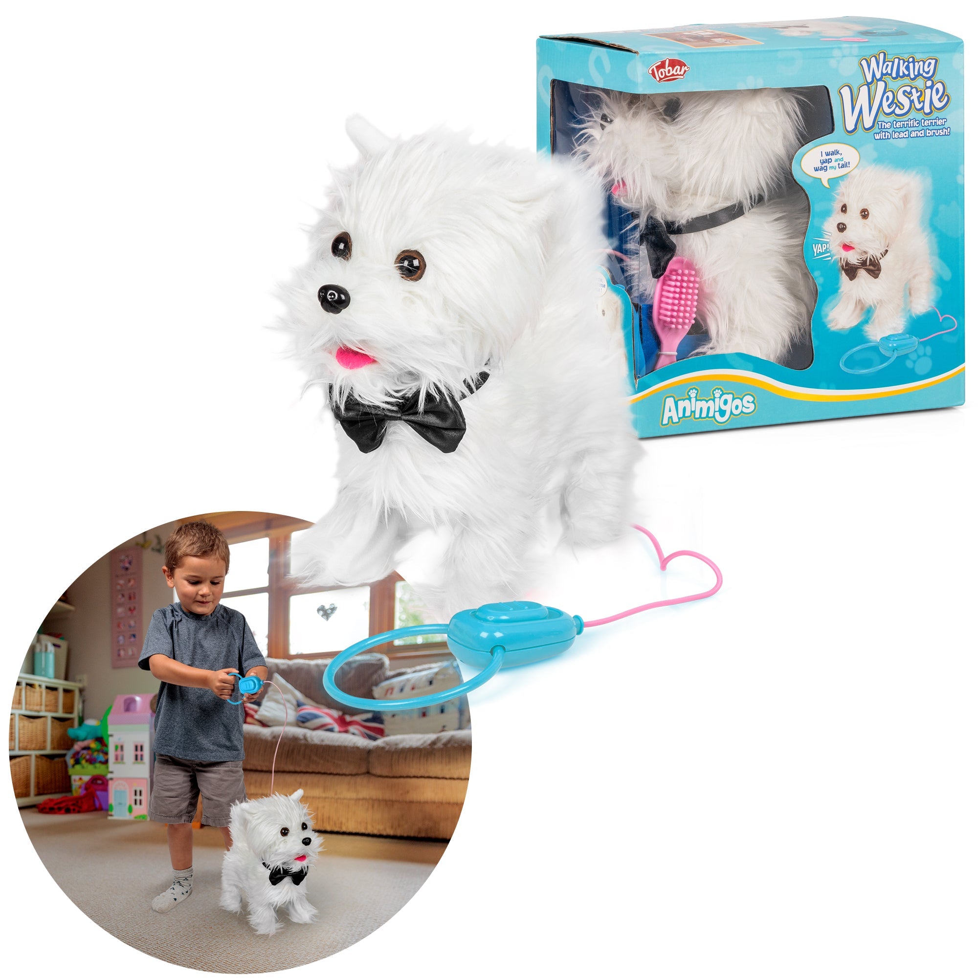 ANIMIGOS WALKING A WESTIE DOG