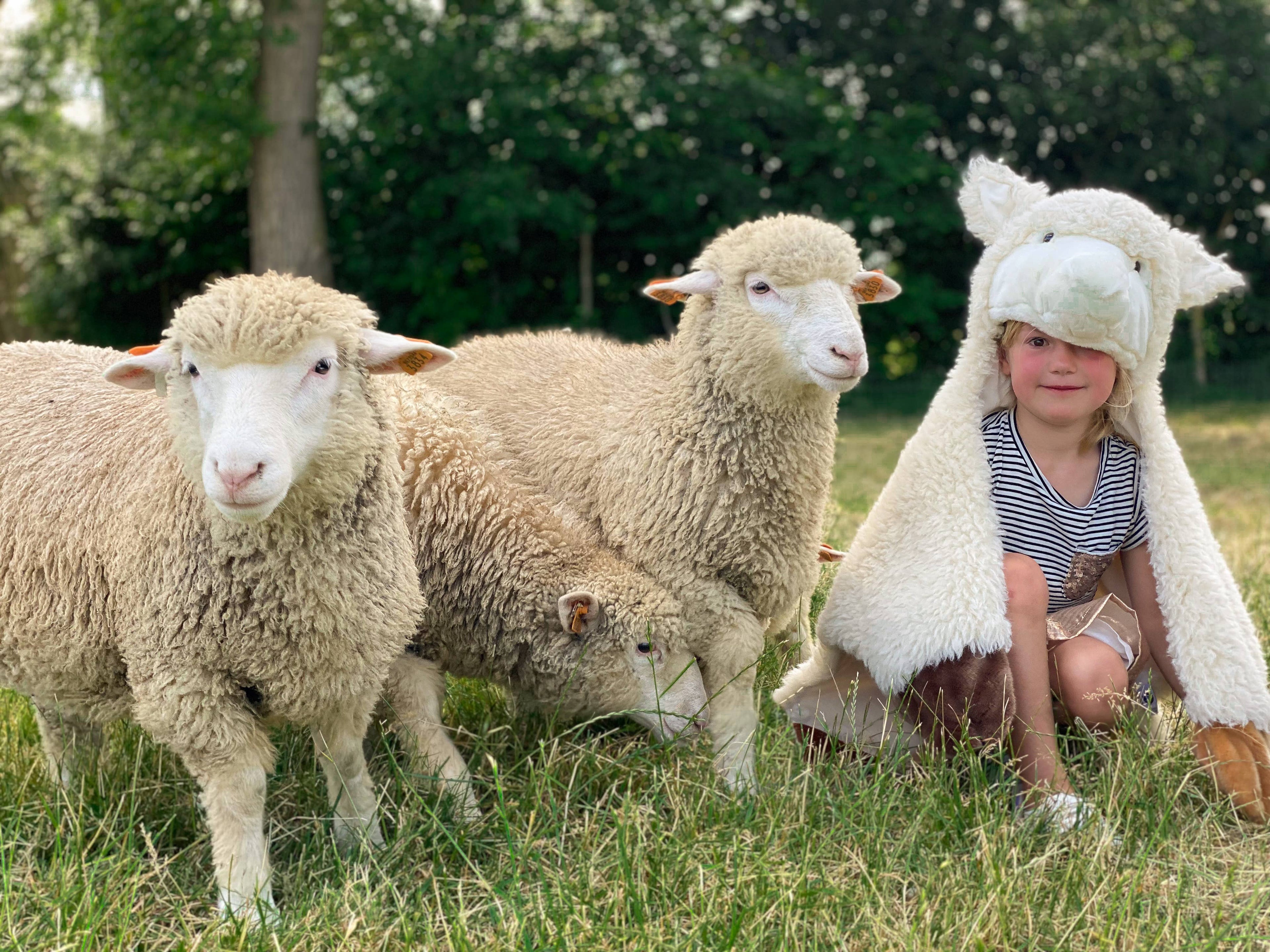 Déguisement d'enfant en mouton WILD & SOFT - Wild & Soft