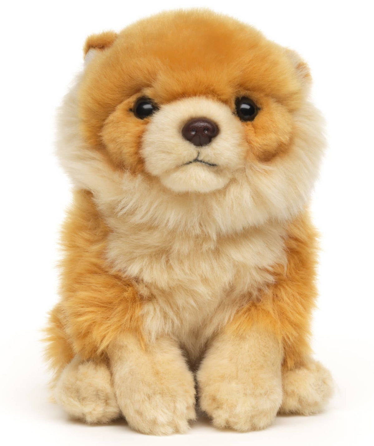 Peluche spitz nain