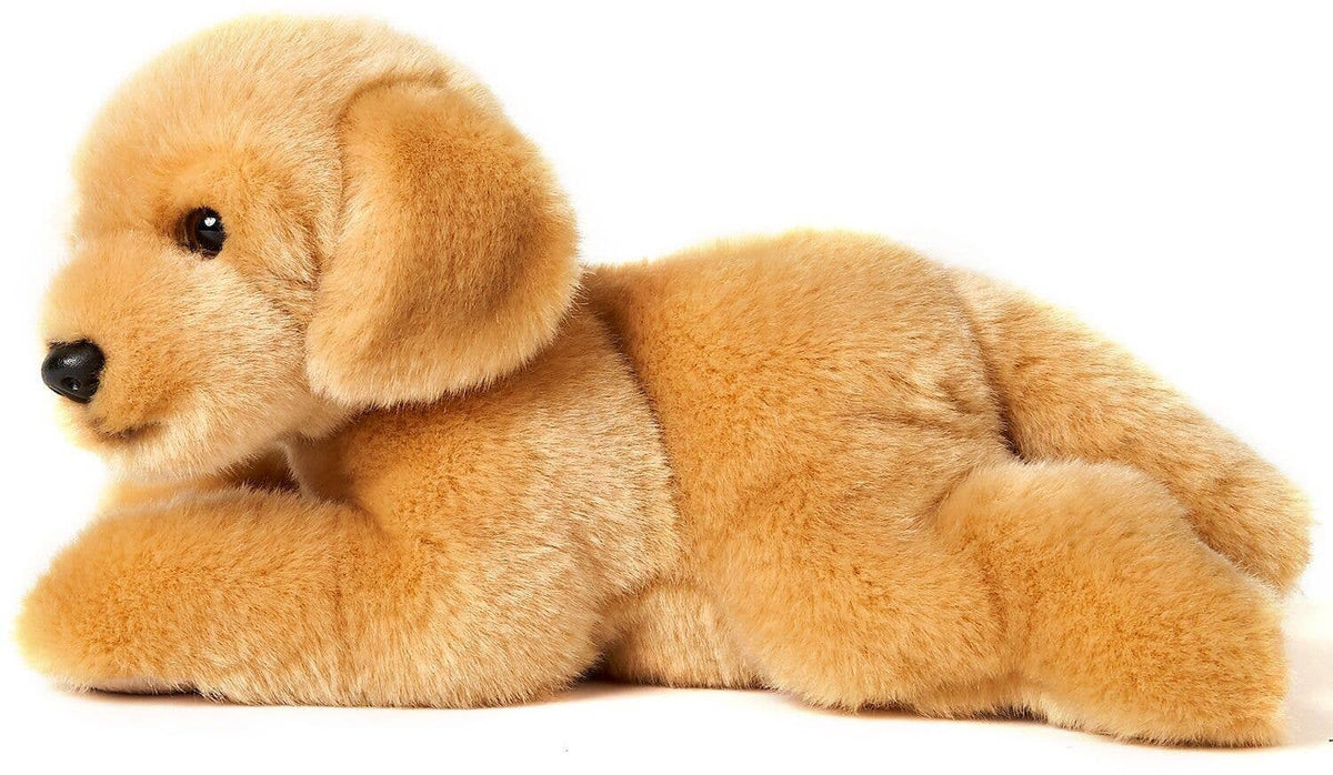 Plush golden retriever puppy lying down