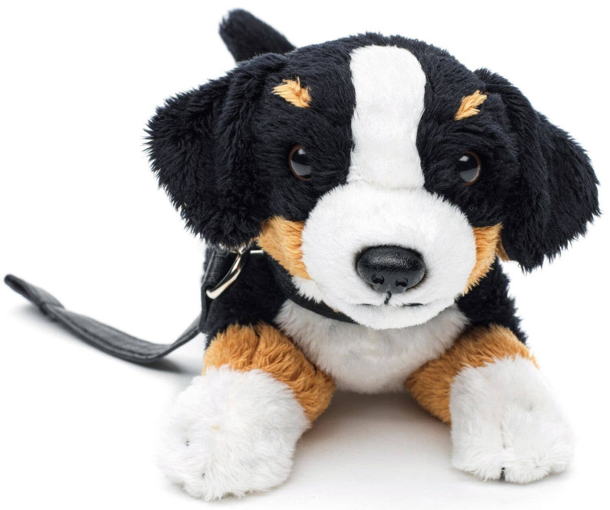 Peluche bouvier bernois allongé avec laisse