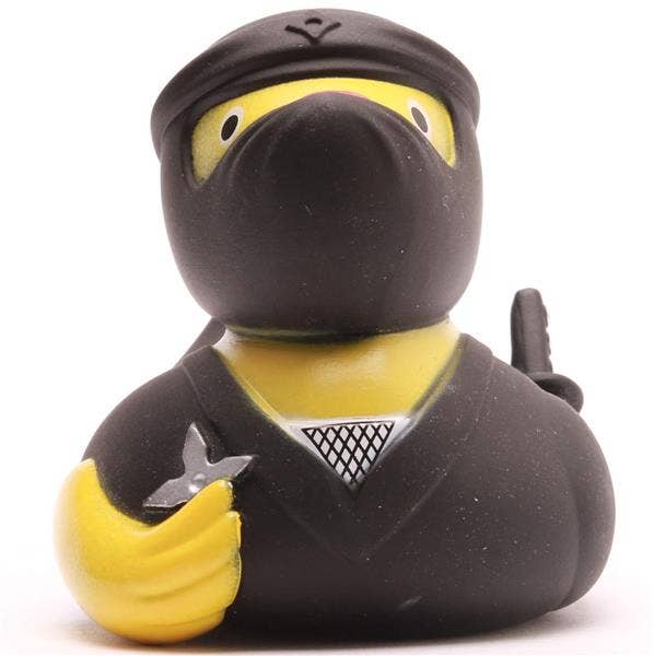 Canard ninja