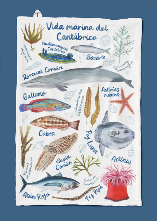 Cantabrian Sea Marine Life Tea Towel