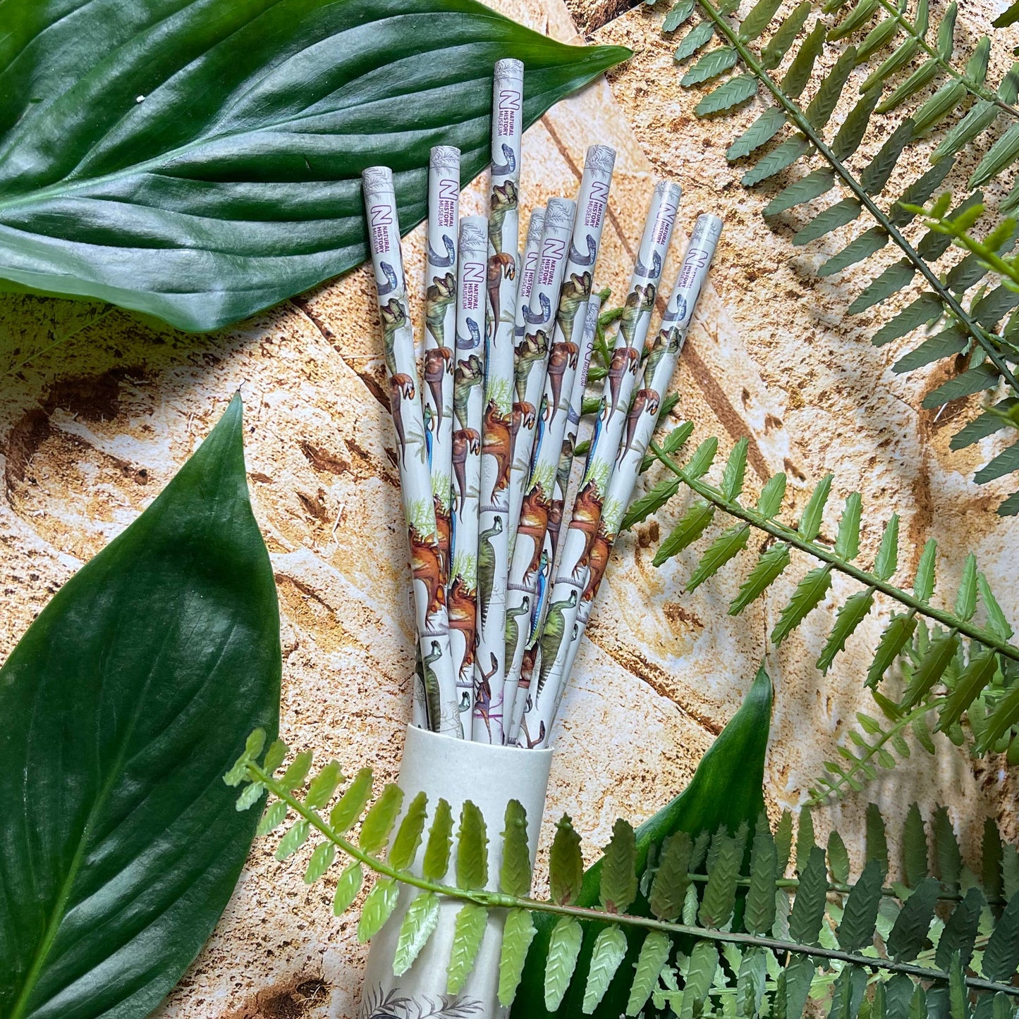 Crayons de – couleur du Musée d'histoire naturelle | Blueprint Collections – vue 7