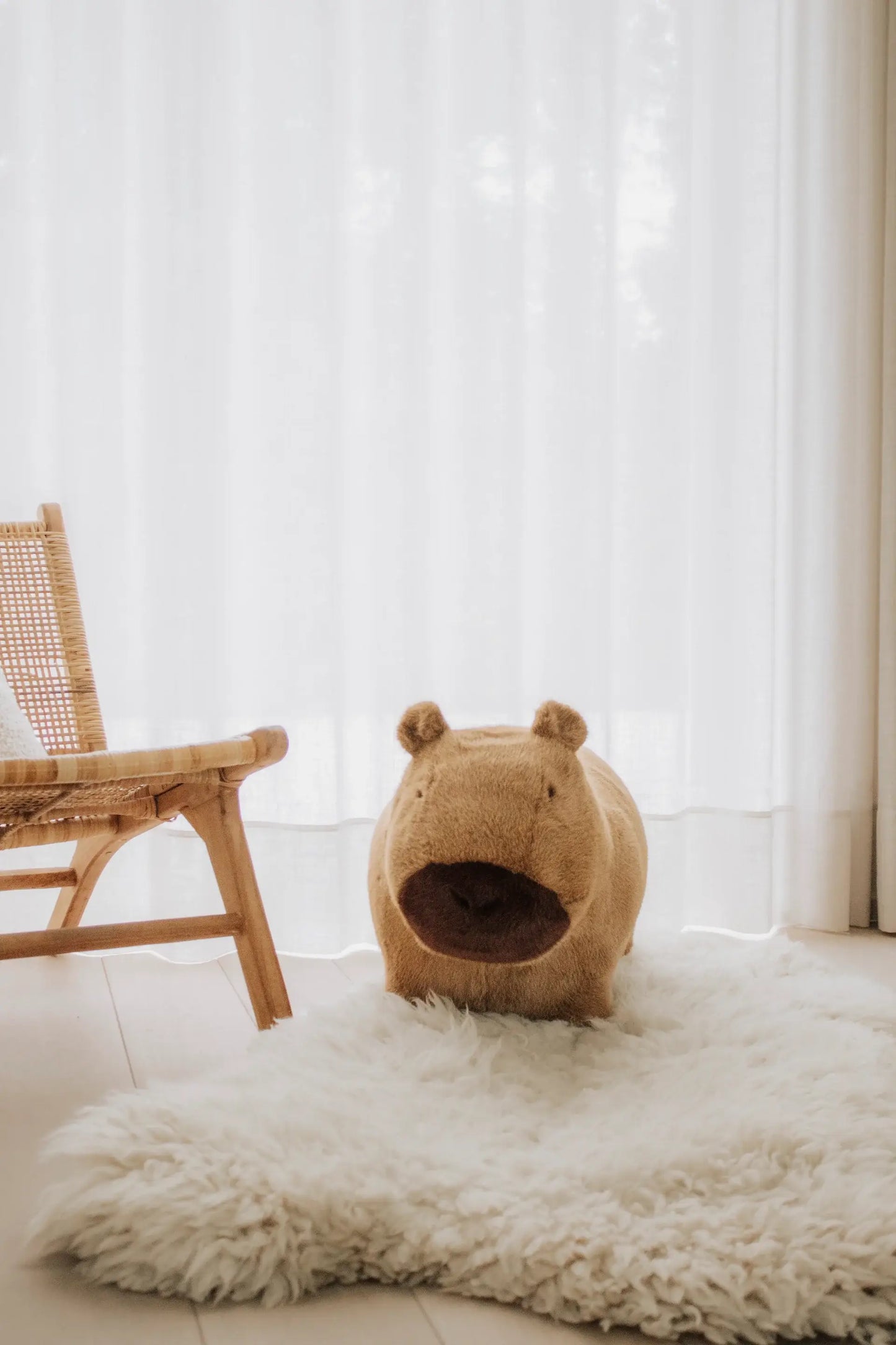 Soft and bouncy capybara