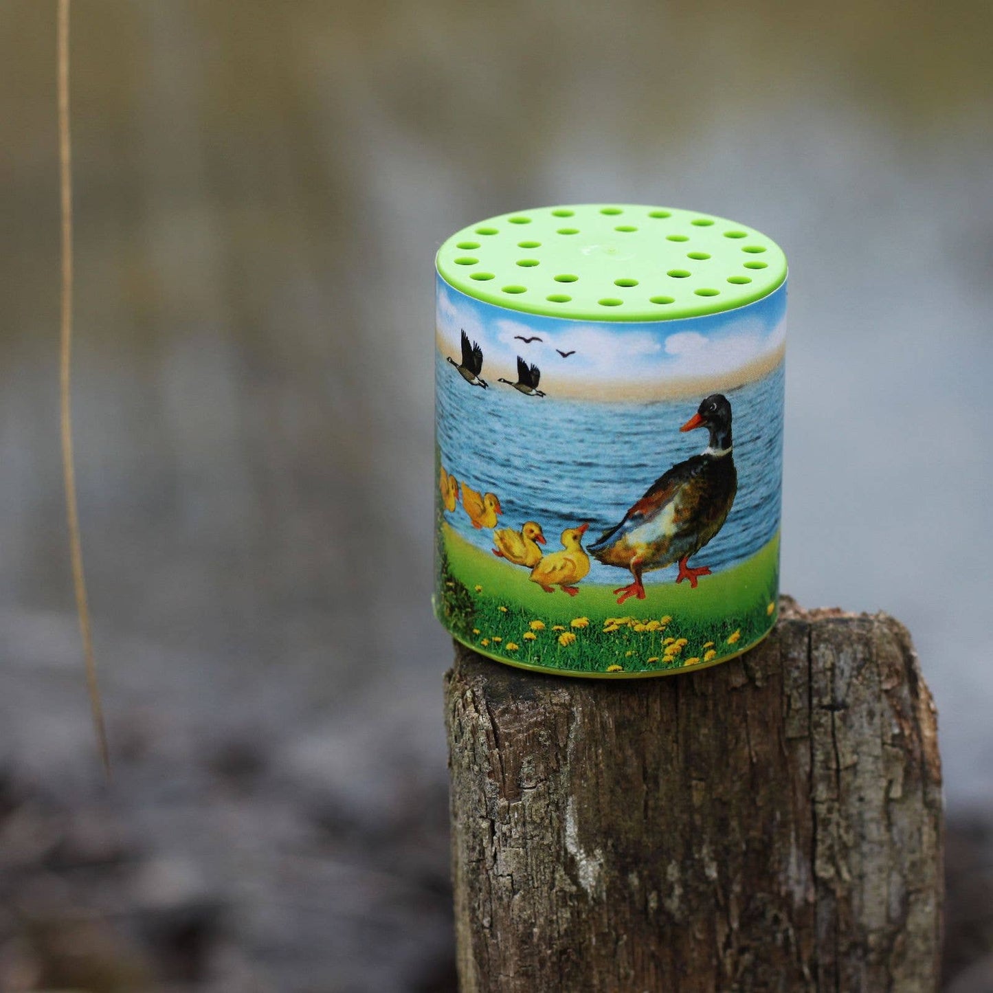 Animal Sound Box - Duck