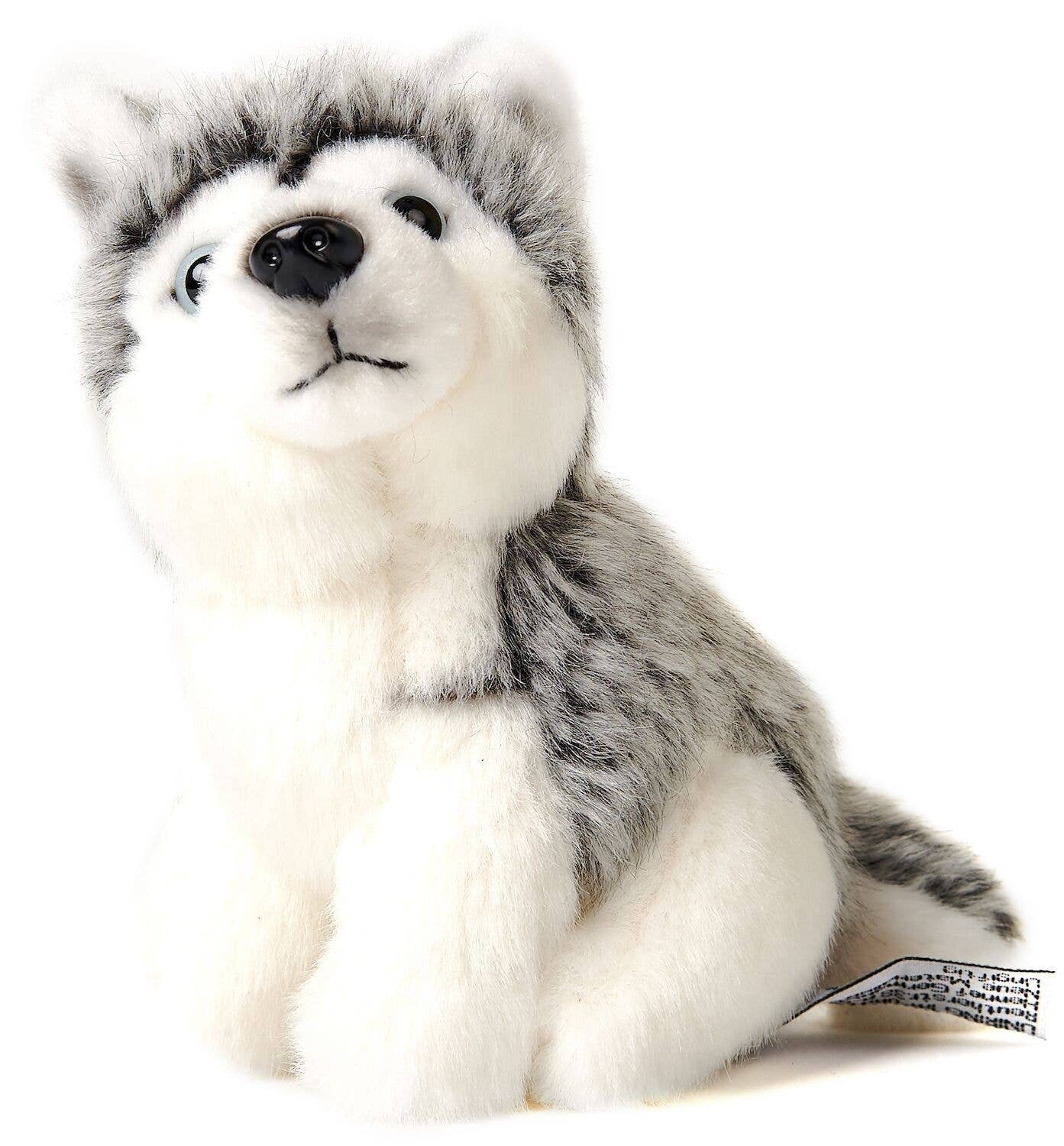 Peluche Husky, assis Uni Toys