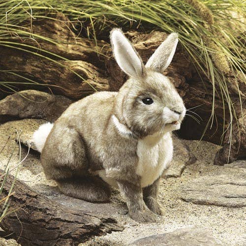 Marionetta American Rabbit