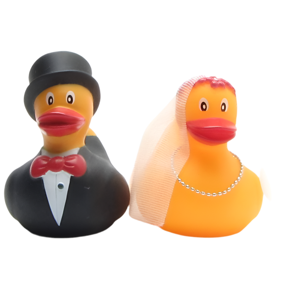 Married Duckling Couple