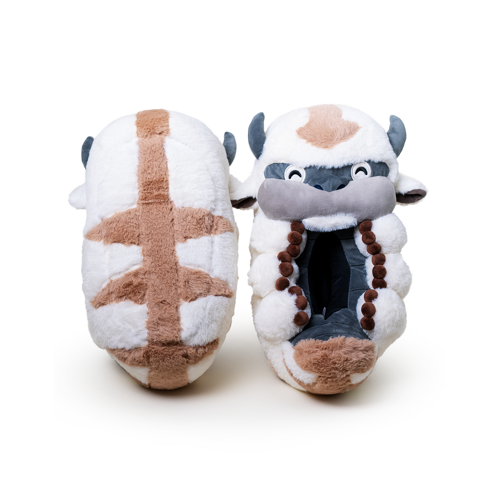 Chaussons Appa