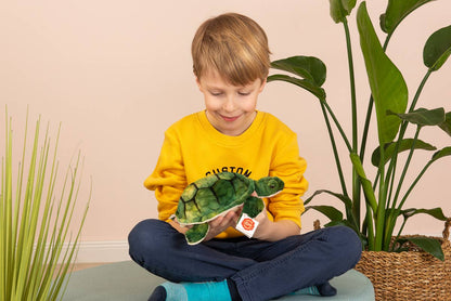 Peluche Tortue d'eau
