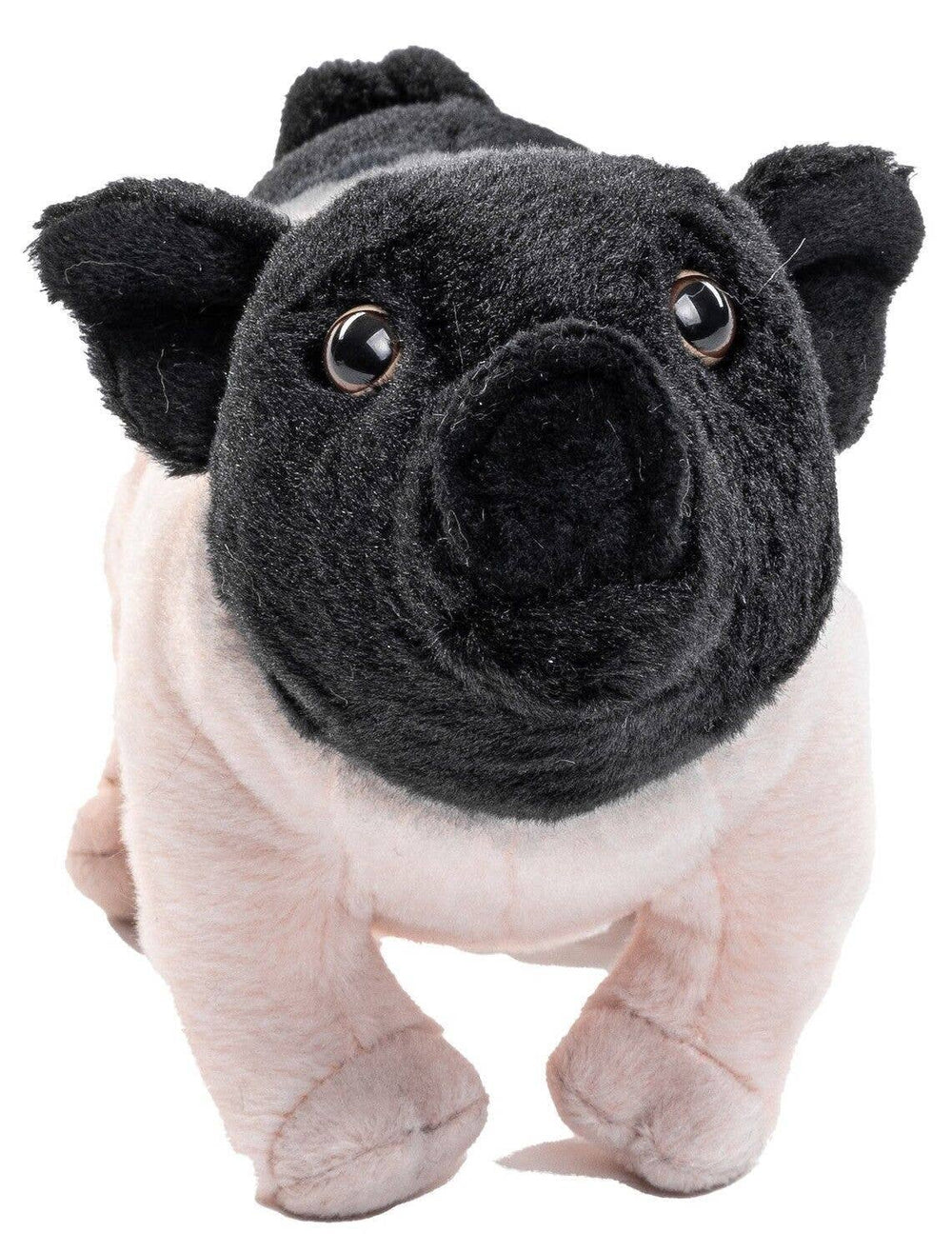 Peluche Swabian-hällisches Landschwein