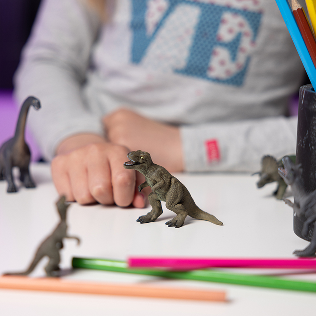 Figurine Mini PLUS Dinosaures Lot 1, 6 pièces