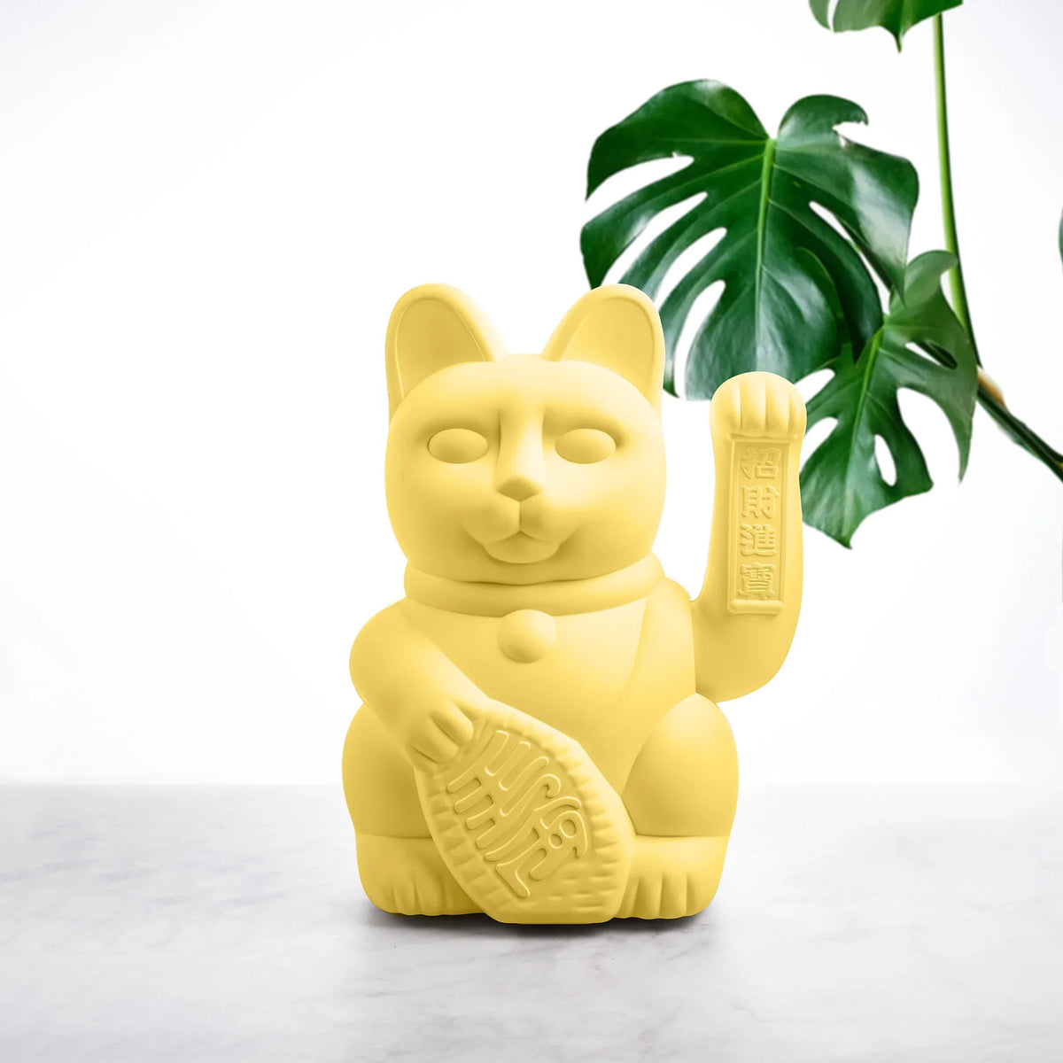 Grande gatto giallo fortunato