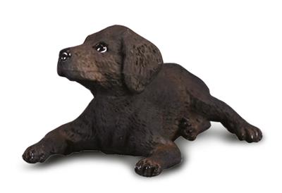Cucciolo di Labrador - (S)