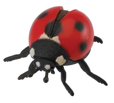 Collecta Insectes (M): COCCINELLE 5.5x4.5x2.5cm