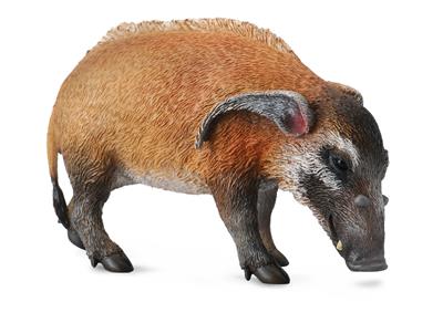 Potamocheri - (L)
