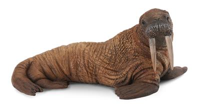 Collecta Animaux marins (L): MORSE 11.5x10x5.5cm