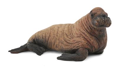 Collecta Animaux marins (M): BÉBÉ MORSE 7x4x3,5cm