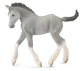 Figura Puledro Shire Horse Gris - (M)