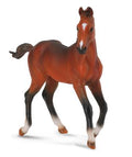 Figur Fohlen Quarter Horse Bai - (M)