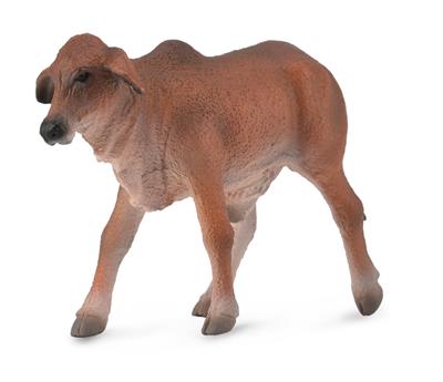 Red Brahmin Calf - (S)