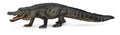 Figura Alligator - (L)