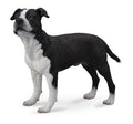 Figur Staffordshire Américain Terrier - (L)