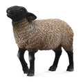 Figure Mouton Suffolk - (M)