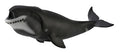 Figure Bowhead Whale - (XL)