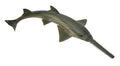 Figura Pesce Sega - (M)
