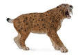 Figurine Smilodon - (XL)