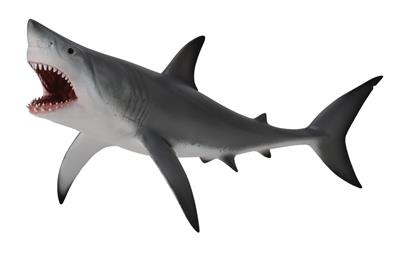 Collecta Animaux marins (XL): GRAND REQUIN BLANC 20.4x9.5cm