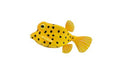 Figurine Poisson-Coffre Jaune - (S)