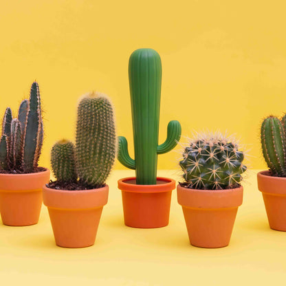 Green Cactus Dish Brush