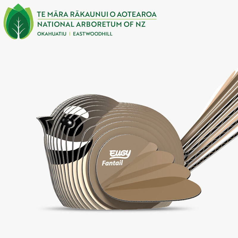 EUGY 3D - Rhipidure à collier