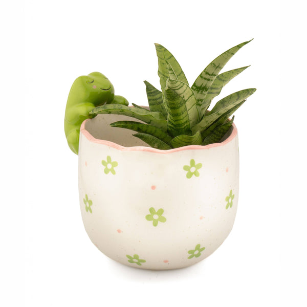 Playful Frog Planter