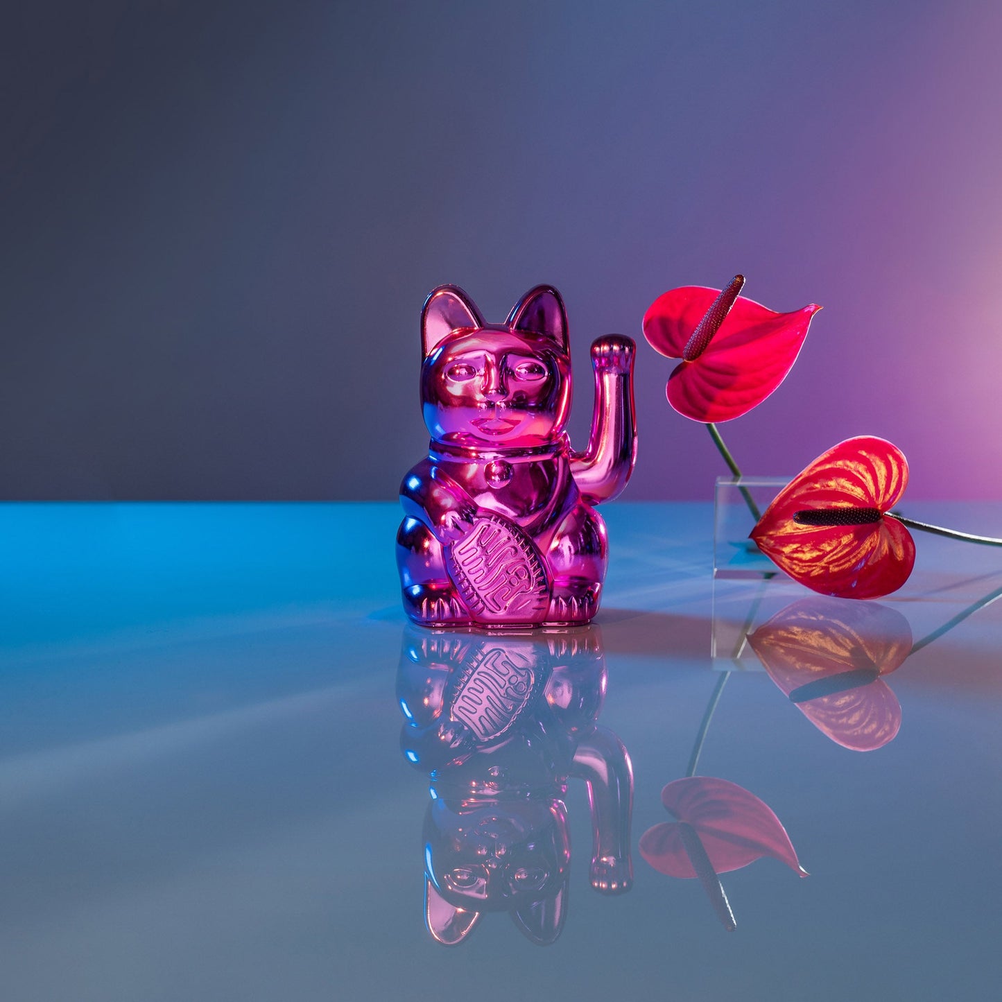 Lucky Bright Pink Cat “Sorya”