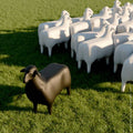 SHEEP – Siège/Table Mouton
