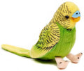 Peluche Budgie Verte avec Son