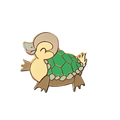 Pine Duck Turtle