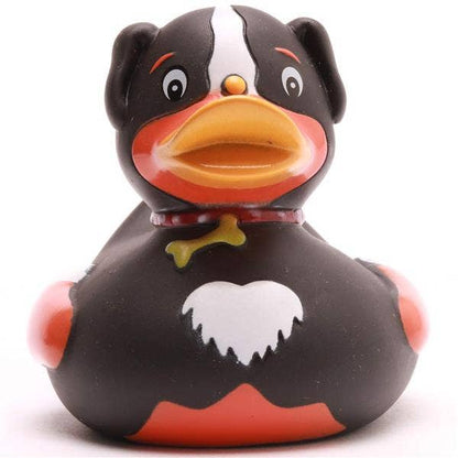 Canard Chien