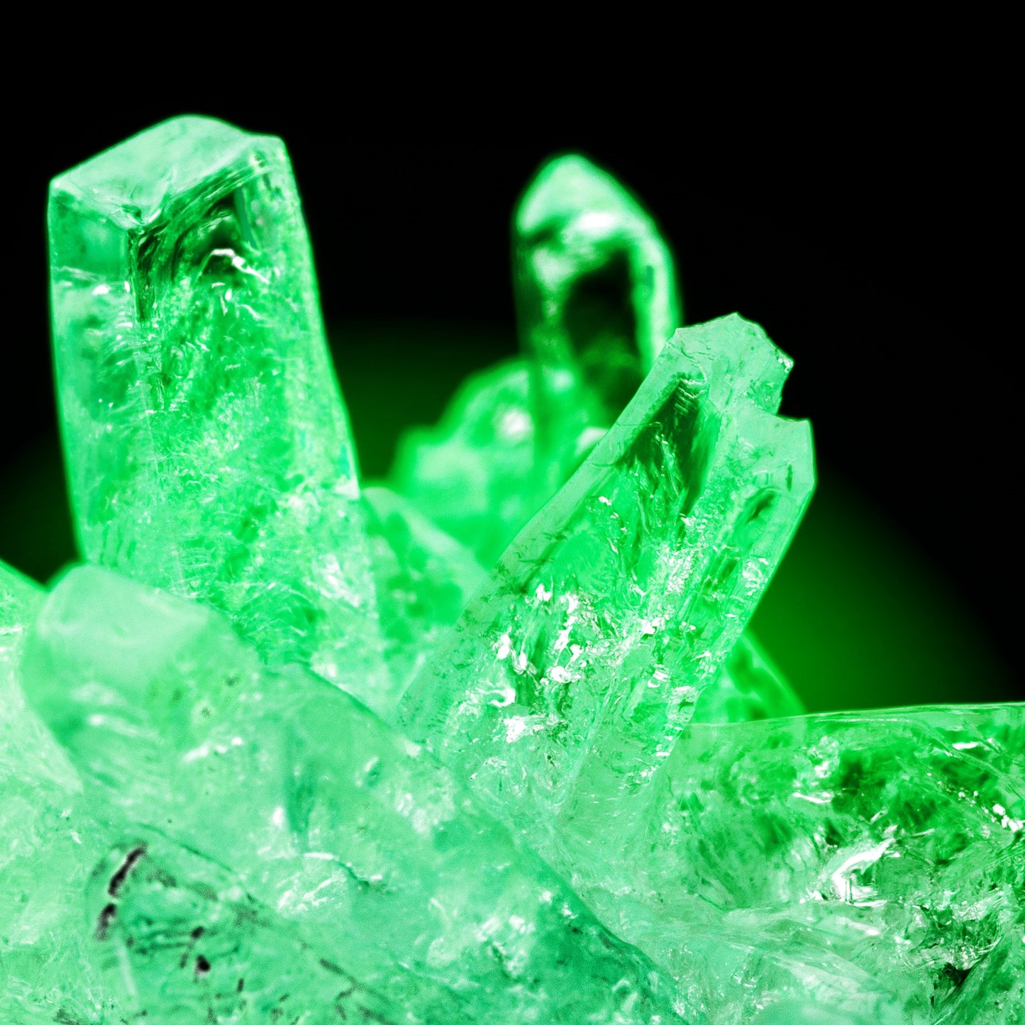 GROW YOUR OWN GLOW-IN-THE-DARK CRYSTALS