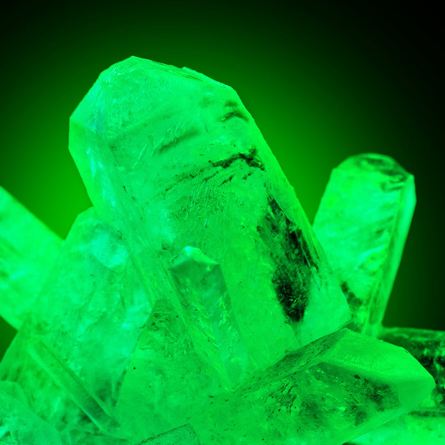 GROW YOUR OWN GLOW-IN-THE-DARK CRYSTALS